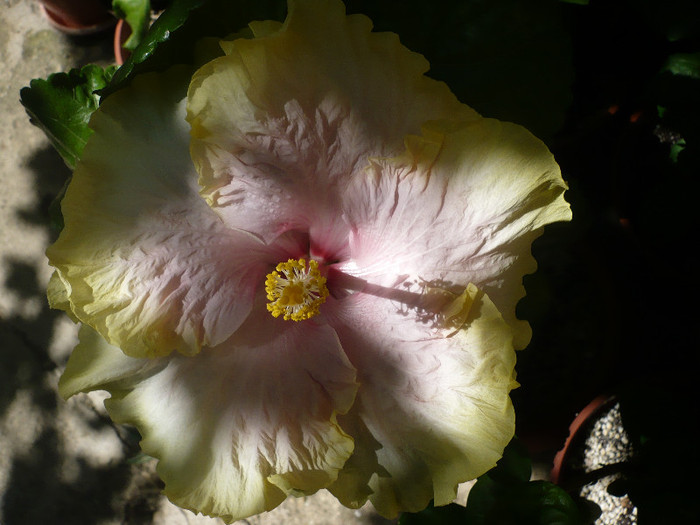 P1160381