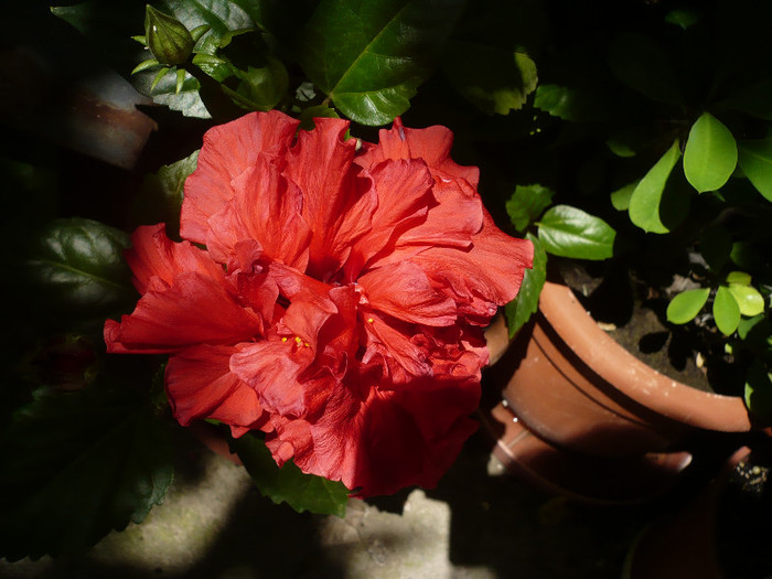 P1160383