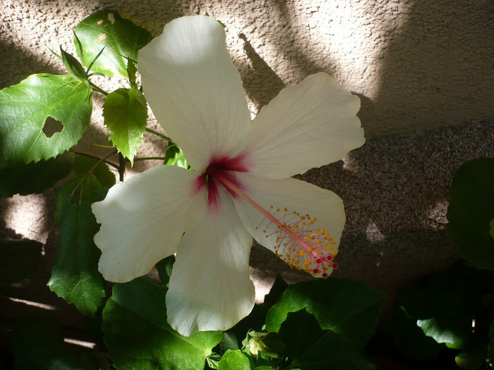 P1160394