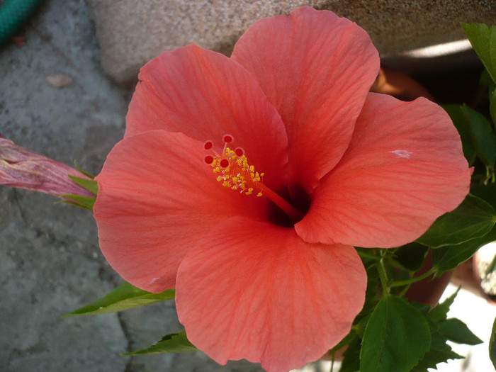 P1160395