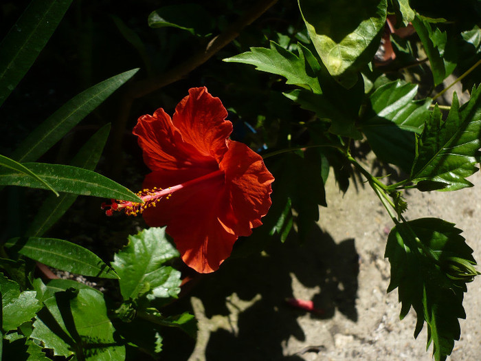 P1160404