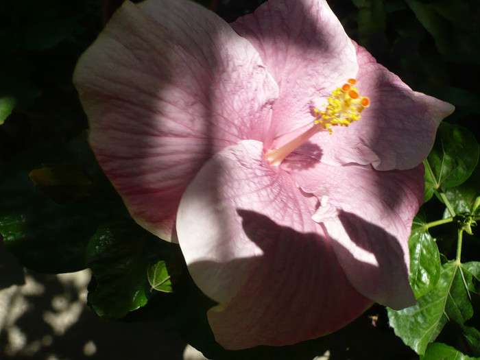 P1160406