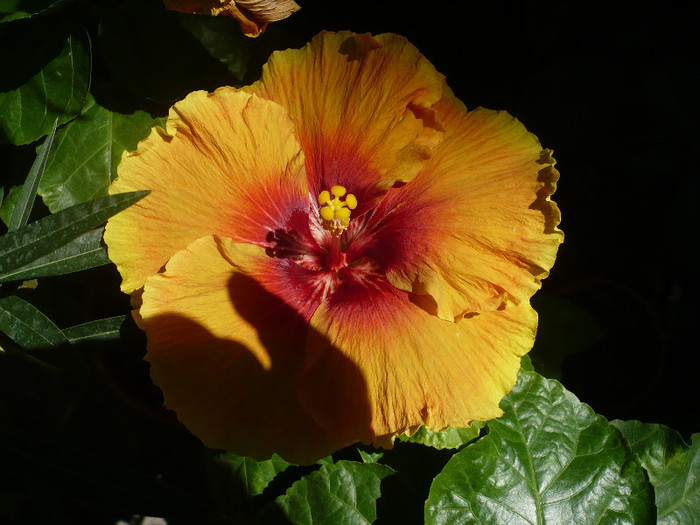 P1160409