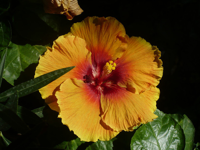 P1160411