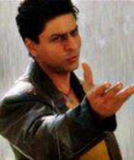 293773_292850917480395_1112146048_n - Shahrukh Khan 3