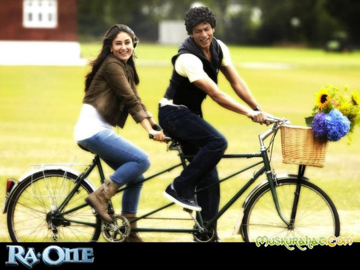 306872_287346508030836_847630831_n - Shahrukh Khan 3
