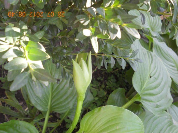 DSCN1756