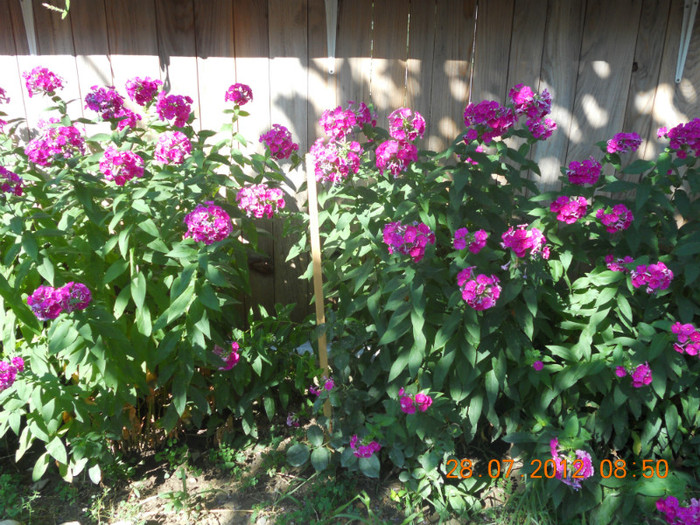 DSCN1758