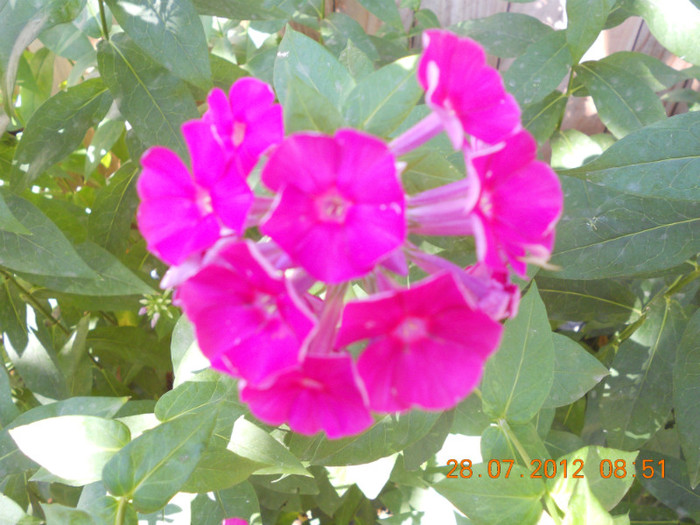 DSCN1762