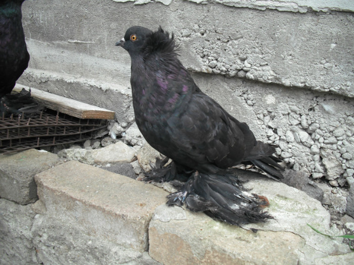 2012