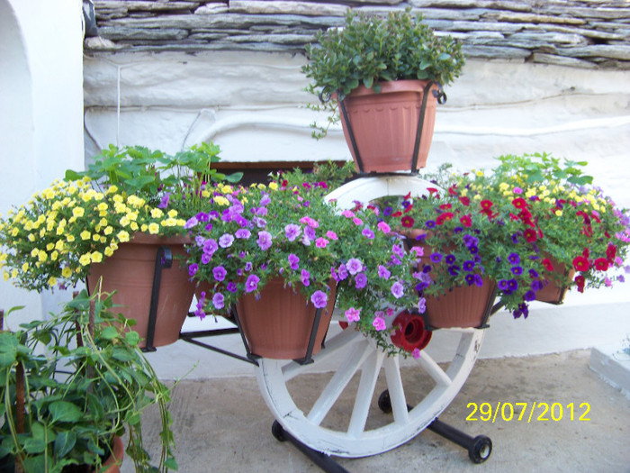 359_7809 - Thassos 2012