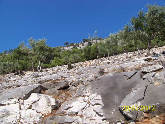 359_7813 - Thassos 2012