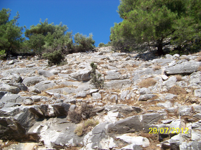 359_7814 - Thassos 2012