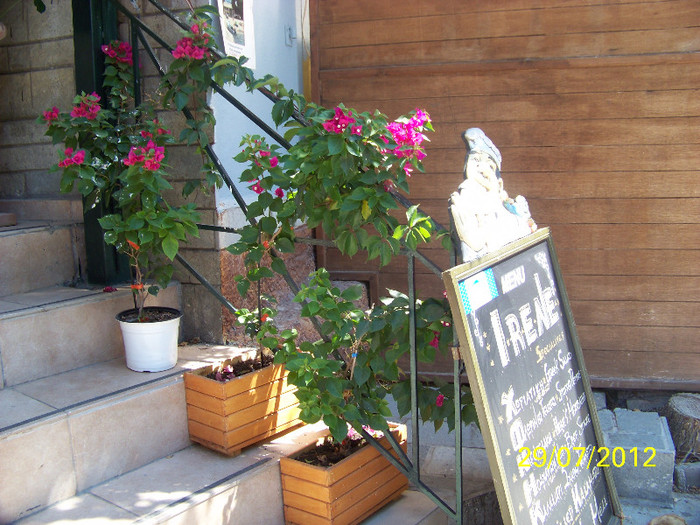 359_7845 - Thassos 2012