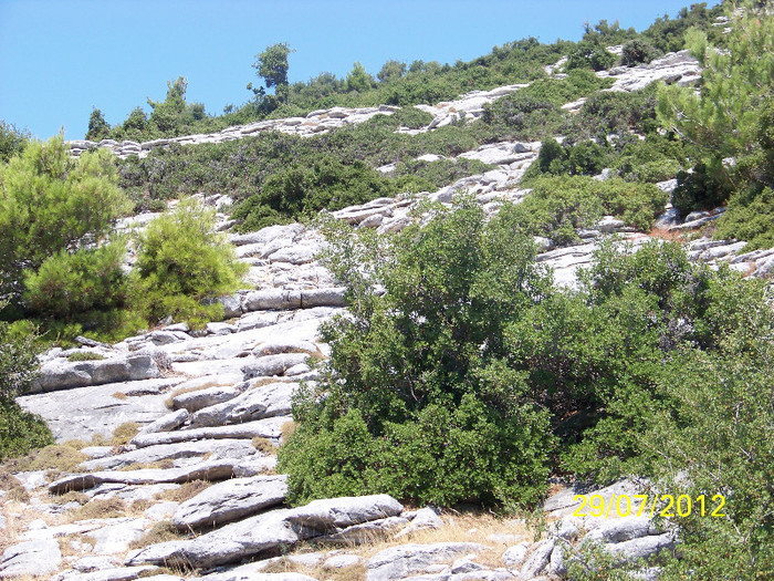 359_7850 - Thassos 2012