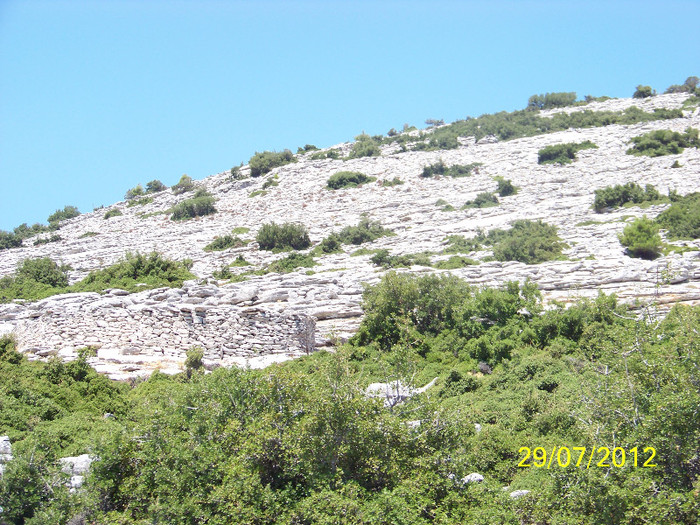 359_7854 - Thassos 2012