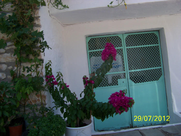 359_7859 - Thassos 2012