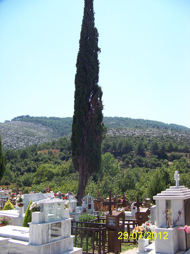 359_7867 - Thassos 2012