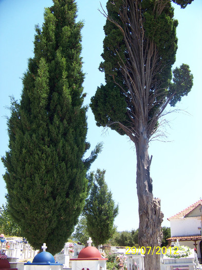 359_7874 - Thassos 2012