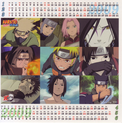 25462156_DXEDXXJXW - POZE KONOHA