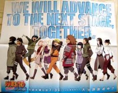 25464608_GFYVDGDCZ - POZE KONOHA