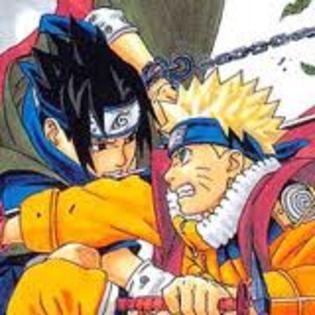 25626155_POKHJTWDJ - POZE KONOHA