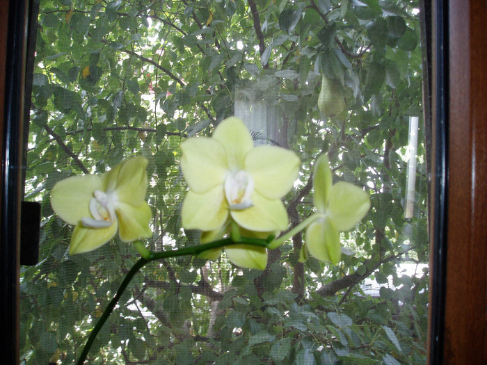 P1010508