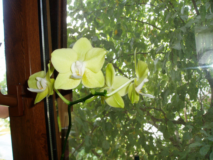 P1010509