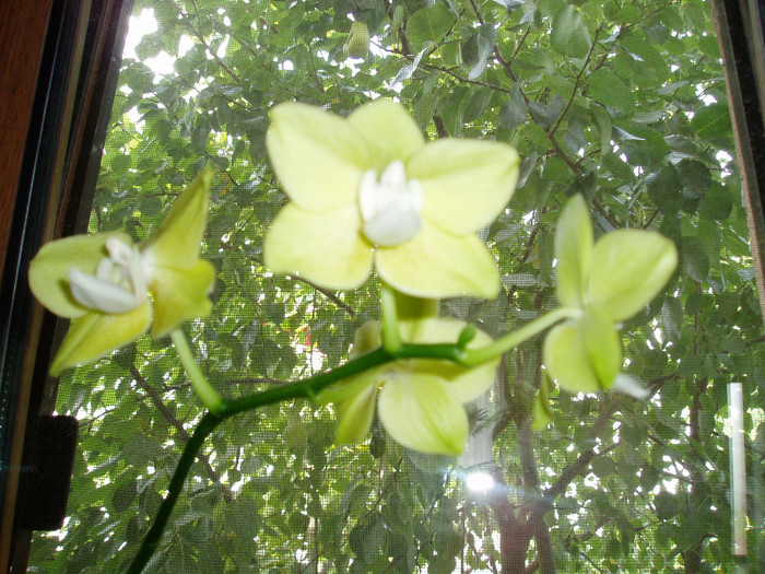 P1010511