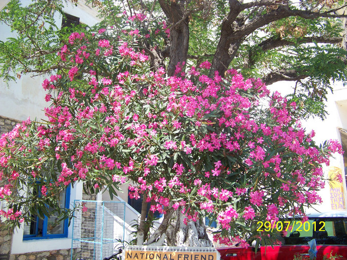 359_7885 - Thassos 2012
