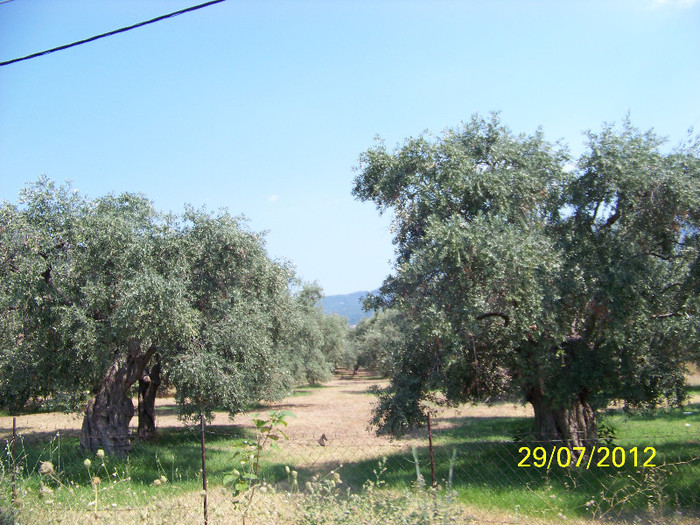 359_7902 - Thassos 2012