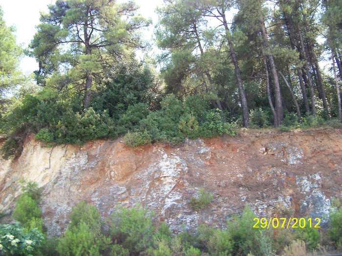 359_7907 - Thassos 2012