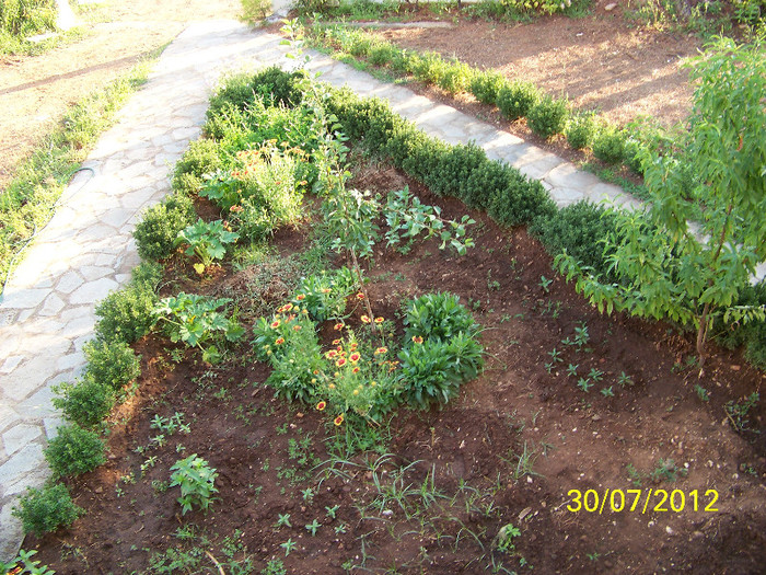 359_7923 - Thassos 2012