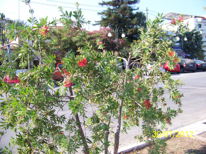 359_7942 - Thassos 2012