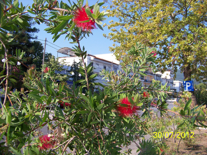 359_7943 - Thassos 2012