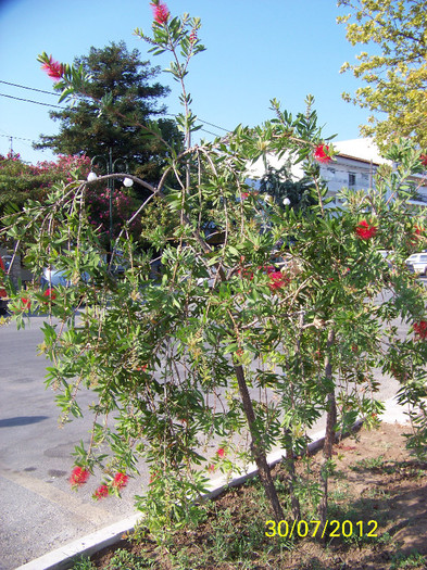 359_7944 - Thassos 2012