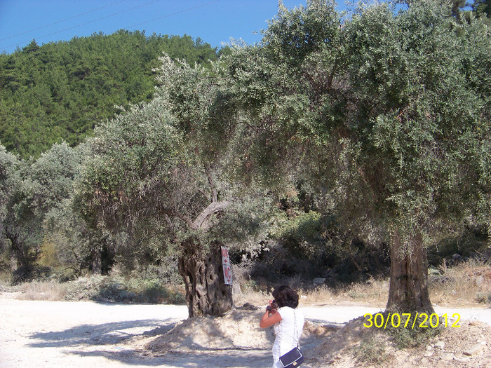 359_7951 - Thassos 2012