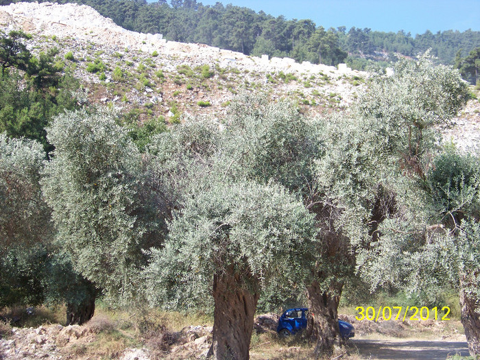 359_7952 - Thassos 2012