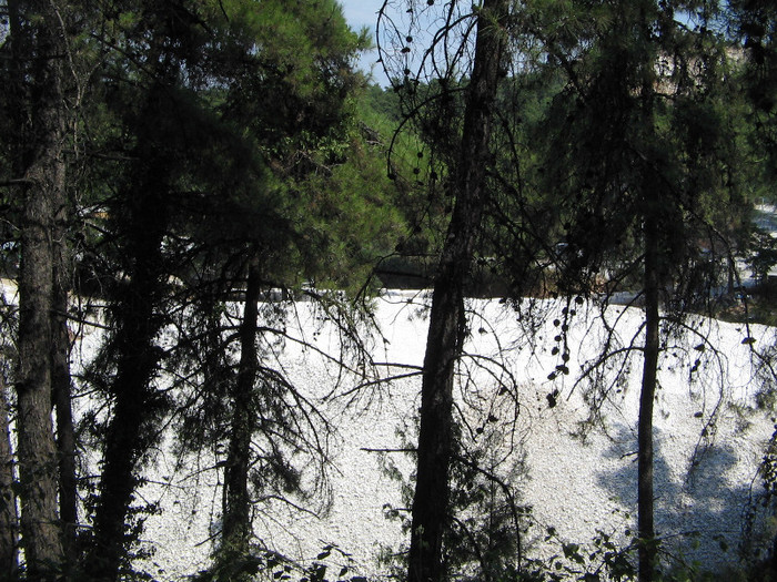 IMG_6024 - Thassos 2012