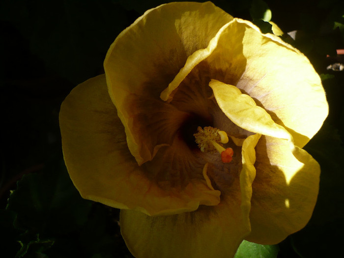 P1160423