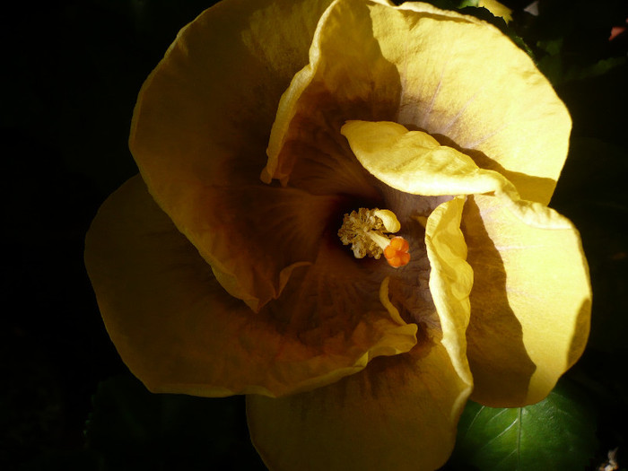 P1160424