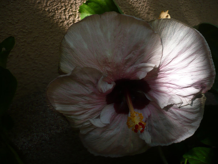 P1160426