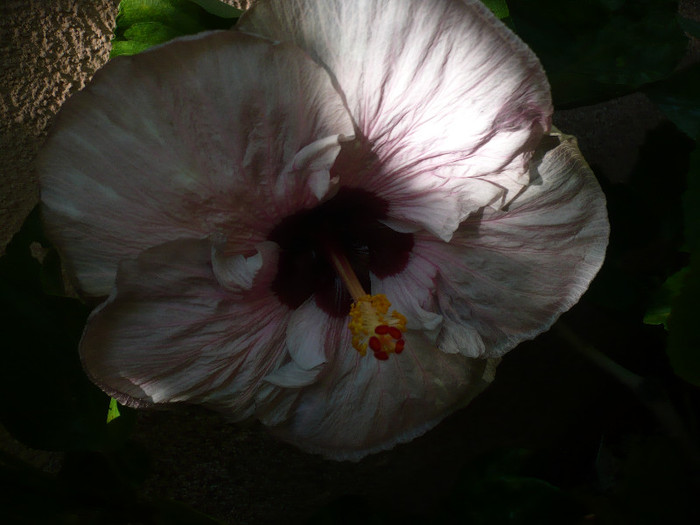 P1160427