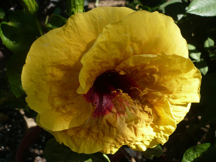 P1160436