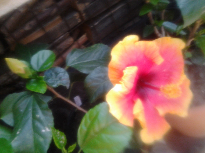 2012-07-30 16.57.01