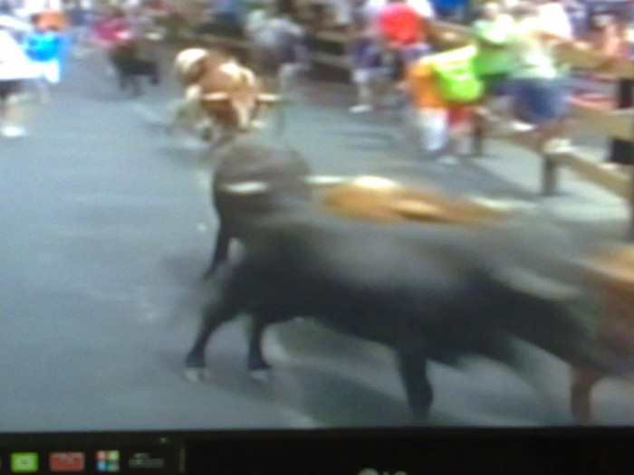 300720123352 - V  sarbatoarea orasului