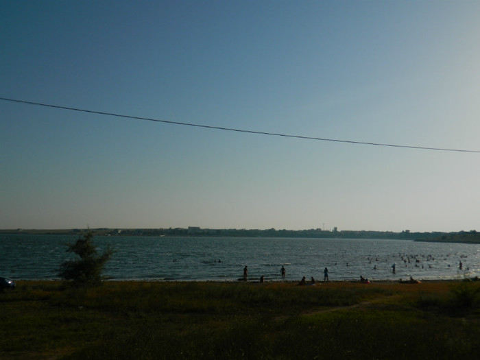 DSCN8738