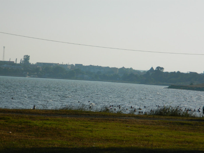 DSCN8742