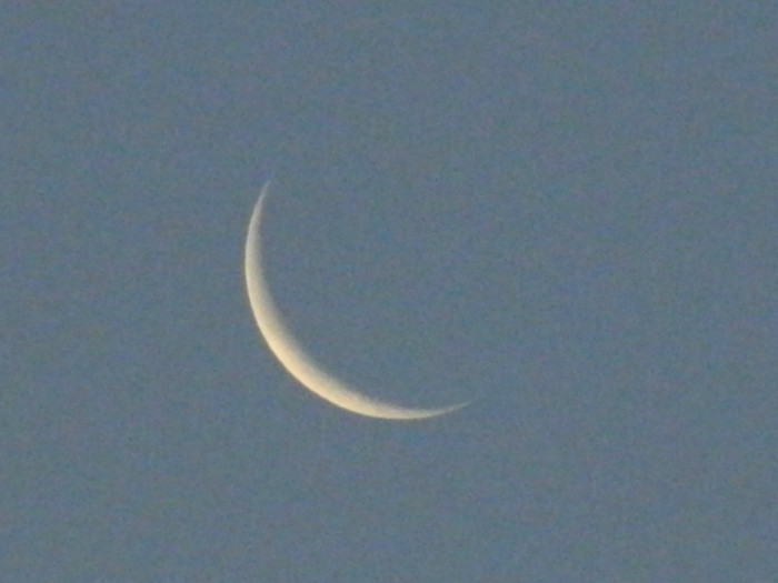 DSCN8750