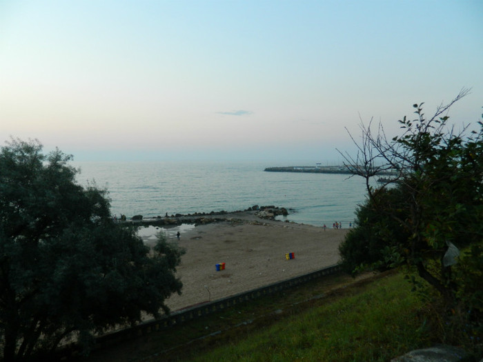 DSCN8765